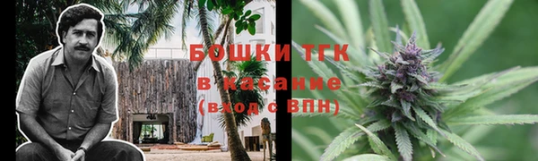 тгк Алексин