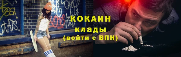тгк Алексин