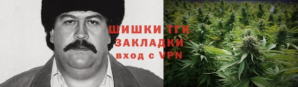 тгк Алексин